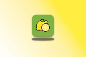 柠檬音乐 v1.0.0 大佬最新开发的音乐神器科技-软件-教程-资源幽兰谣